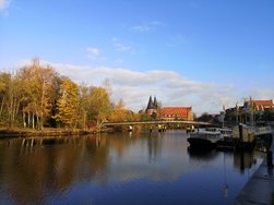 IMG_20201028_083854.jpg