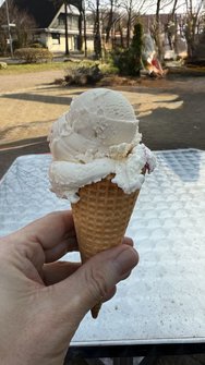 2025-03-09_01_Das_erste_Eis_in_2025_bearbeitet.jpg