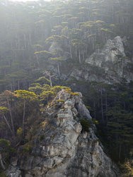 IMG_20250309_090012-Verbessert-RR-4.jpg