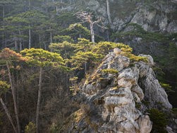 IMG_20250309_085820-Verbessert-RR.jpg