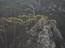 IMG_20250309_085820.jpg