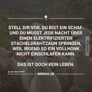post2 (1) (11).jpg