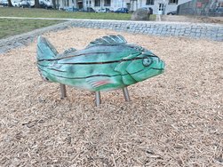 IMG_20250310_173512.jpg