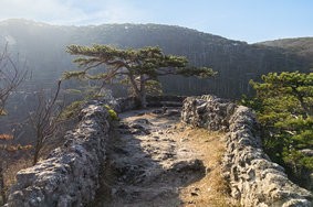 IMG_20250309_085522-Verbessert-RR.jpg