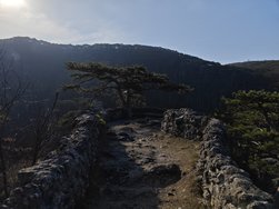 IMG_20250309_085522.jpg