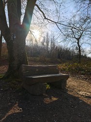IMG_20250309_154258.jpg