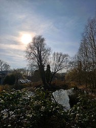 IMG_20250309_150944.jpg