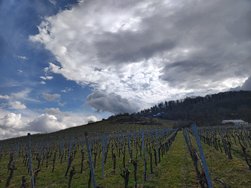 IMG_20250311_130651510_HDR.jpg