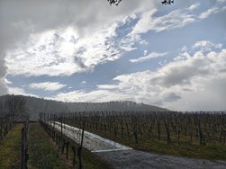 IMG_20250311_135908459_HDR.jpg