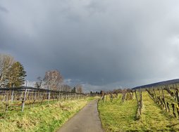 IMG_20250311_140355659_HDR.jpg