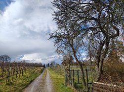 IMG_20250311_140838294_HDR.jpg