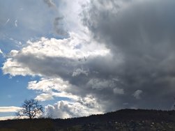 IMG_20250311_142039538_HDR.jpg