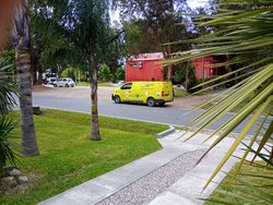 IMG_20250311_133812_PORTRAIT.jpg