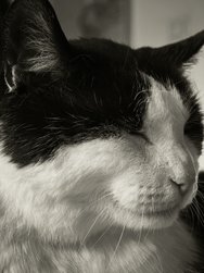 IMG_20250311_162739.jpg