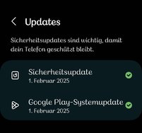 Screenshot_20250311_201831_Settings.jpg