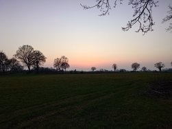 20250309_180716.JPG