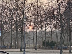 20250311_172812.JPG