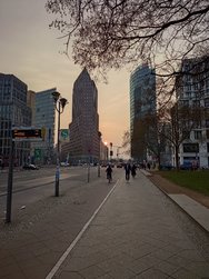 20250311_172020.JPG