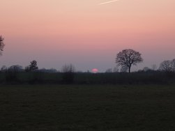 20250309_180723.JPG