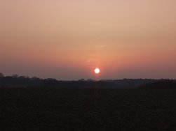 20250309_175506.JPG