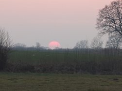 20250309_180746.JPG