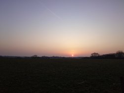 20250309_175457.JPG