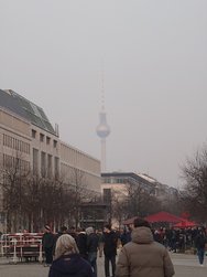 20250311_173722.JPG
