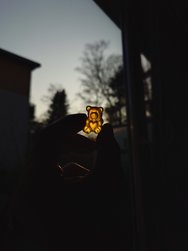 20250310_165543.JPG