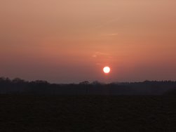 20250309_175509.JPG
