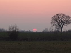 20250309_180729.JPG