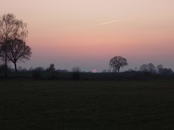 20250309_180720.JPG