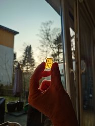 20250310_165639.JPG