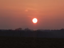 20250309_175515.JPG