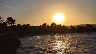 IMG_20250301_171728.jpg