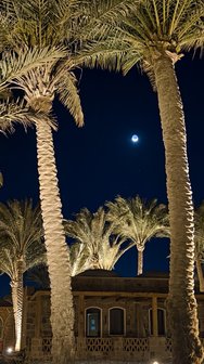 IMG_20250302_184505~2.jpg