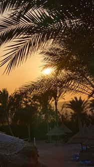 IMG_20250304_171951.jpg