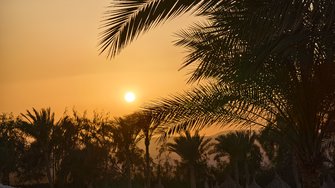 IMG_20250304_172532.jpg