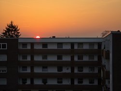 20250310_182022.jpg