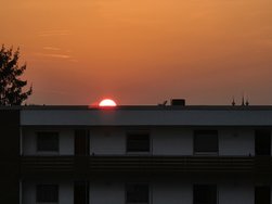 20250310_182025.jpg