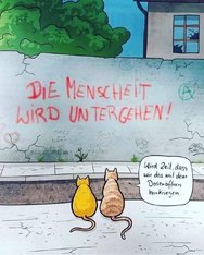 Katzen.jpeg