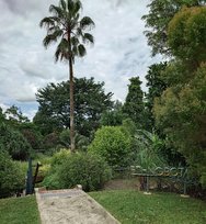 20250311_125745.JPG