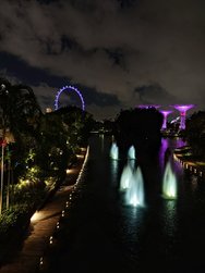 20250310_202335.JPG