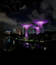 20250310_201255.JPG