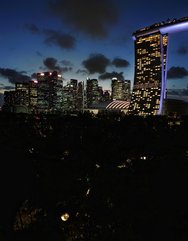 20250310_194209.JPG