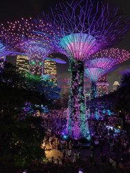 20250309_195714 (1) (1).JPG