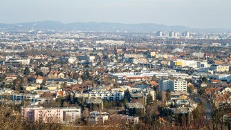 IMG_20250302_080540-2.jpg