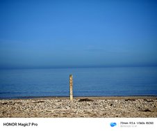 IMG_20250308_134950.jpg