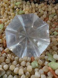 20250312_135811.jpg