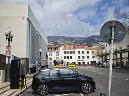 IMG_20250310_131359.jpg
