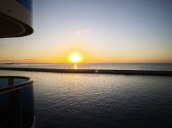 IMG_20250312_073013.jpg